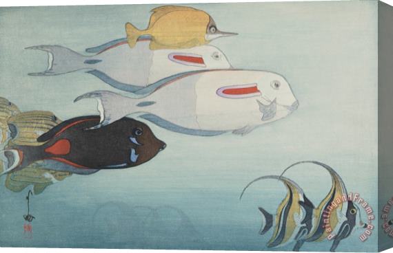 Hiroshi Yoshida Fishes of Honolulu (honoruru Suizokukan), From The American Series Stretched Canvas Print / Canvas Art