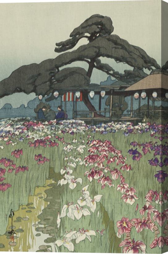 Hiroshi Yoshida Iris Garden in Horikiri (horikiri No Shobu), From The Series Twelve Views of Tokyo (tokyo Ju Ni Dai) Stretched Canvas Print / Canvas Art
