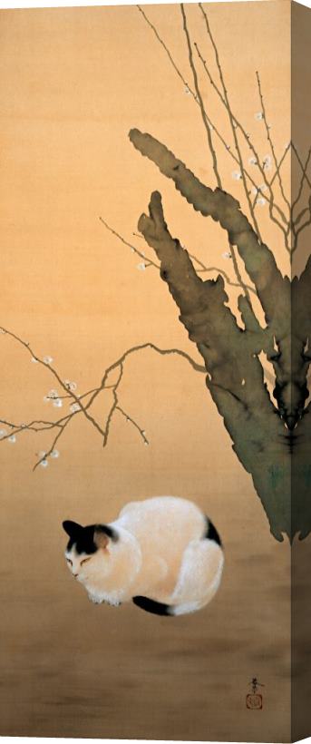 Hishida Shunso Cat And Plum Blossoms Stretched Canvas Painting / Canvas Art