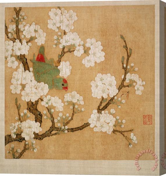 Huang Jucai Parrot And Insect Among Pear Blossoms Stretched Canvas Painting / Canvas Art