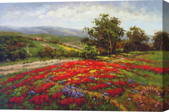 Hulsey Campo Di Fiore II Stretched Canvas Painting / Canvas Art