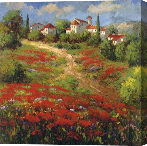 Hulsey Country Village II Stretched Canvas Painting / Canvas Art
