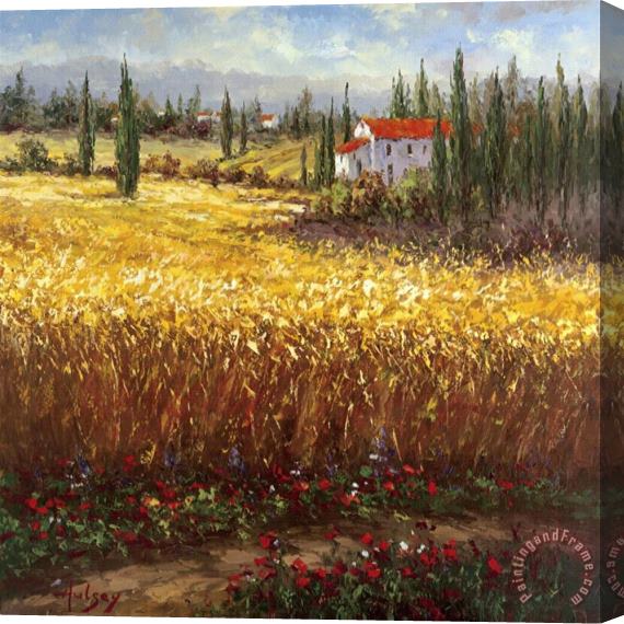 Hulsey Tuscan Wheat Stretched Canvas Print / Canvas Art