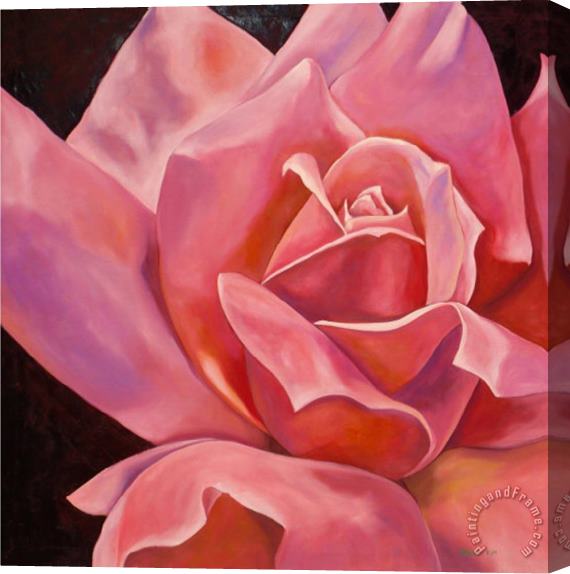 hyunah kim Pink Rose Stretched Canvas Painting / Canvas Art