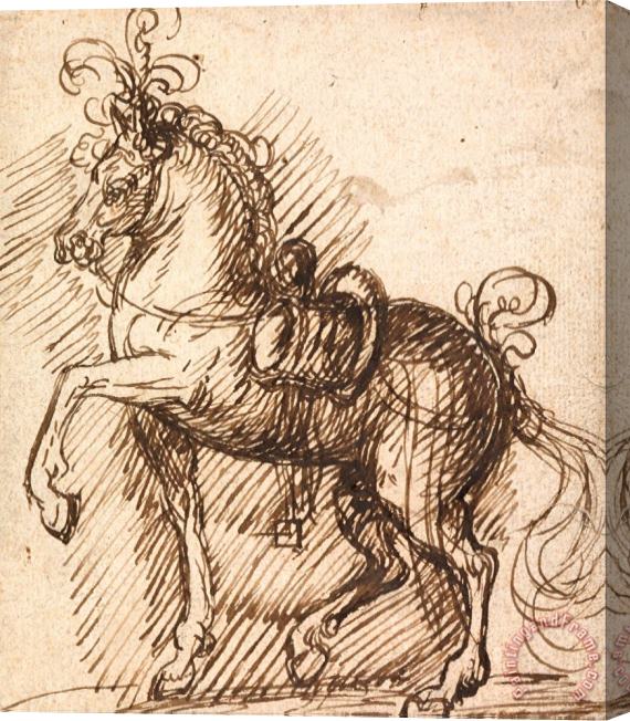 Inigo Jones A Plumed Saddle Horse Stretched Canvas Print / Canvas Art