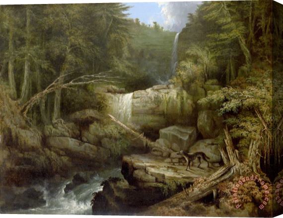 Jacob C. Ward Wolf in The Glen (cattskill Falls) Stretched Canvas Painting / Canvas Art