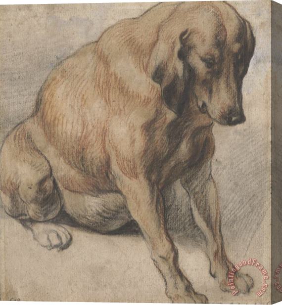 Jacob Jordaens Zittende Zwangere Hond Stretched Canvas Painting / Canvas Art