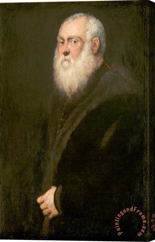 Jacopo Robusti Tintoretto Man with a White Beard Stretched Canvas Painting / Canvas Art
