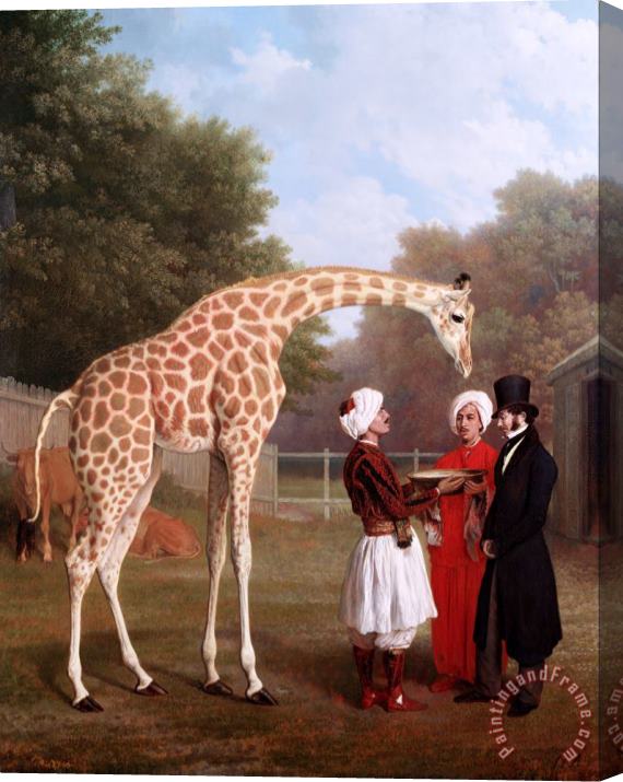 Jacques-Laurent Agasse Nubian Giraffe Stretched Canvas Painting / Canvas Art