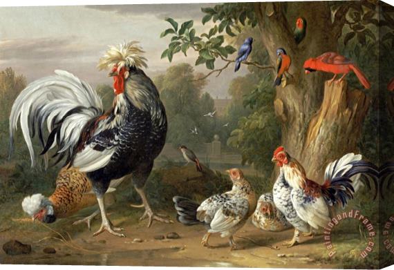 Jakob Bogdany Poultry And Other Birds in The Garden of a Mansion Stretched Canvas Painting / Canvas Art