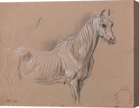James Ward A Mare Possibly a Study for 