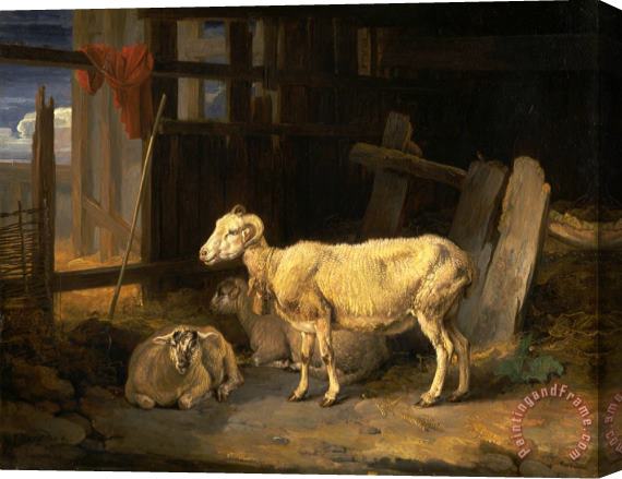 James Ward Heath Ewe And Lambs Stretched Canvas Print / Canvas Art