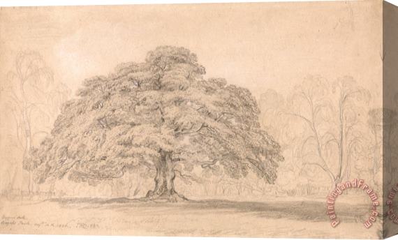 James Ward The Beggar's Oak, Bagot's Park, Aug. 12th, 1820 Stretched Canvas Painting / Canvas Art