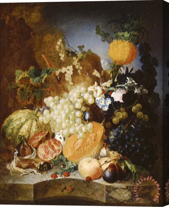 Jan van Os Still Life with Fruit Stretched Canvas Print / Canvas Art