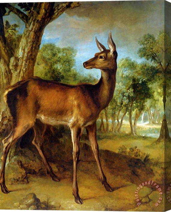 Jean Baptiste Oudry The Watchful Doe Stretched Canvas Painting / Canvas Art