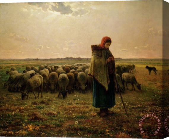 Jean-Francois Millet Shepherdess with her Flock Stretched Canvas Painting / Canvas Art