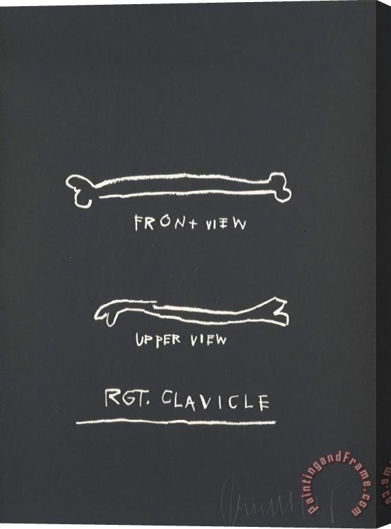 Jean-michel Basquiat Anatomy: One Plate Stretched Canvas Print / Canvas Art