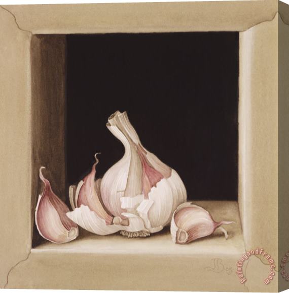 Jenny Barron Garlic Stretched Canvas Print / Canvas Art