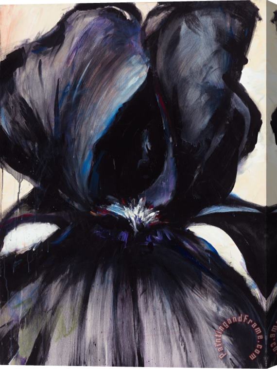 Jerome Lawrence Delilah Black Iris Stretched Canvas Painting / Canvas Art