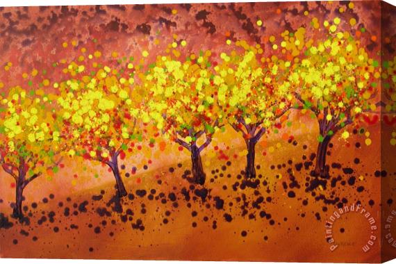 Jerome Lawrence Five Trees Stretched Canvas Print / Canvas Art