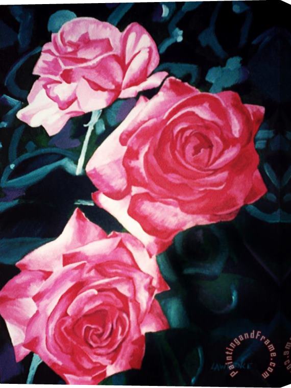 Jerome Lawrence Roses Stretched Canvas Print / Canvas Art