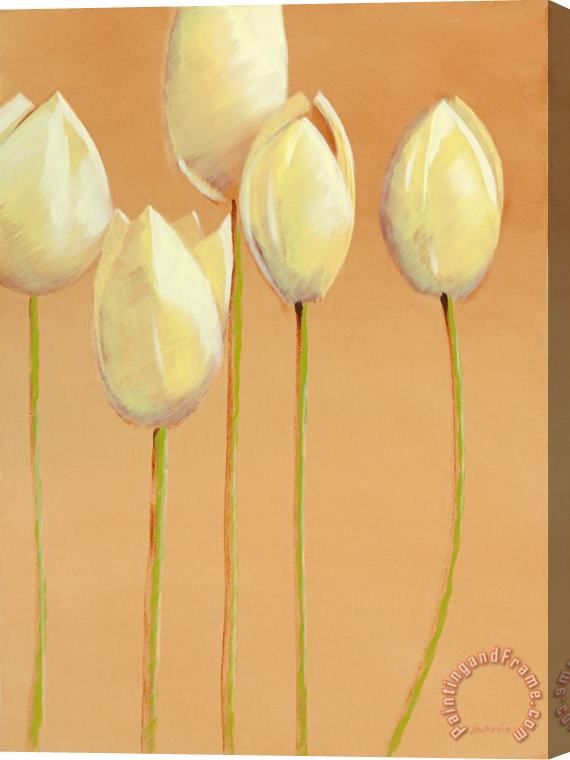 Jerome Lawrence Tulips are People Too Stretched Canvas Print / Canvas Art