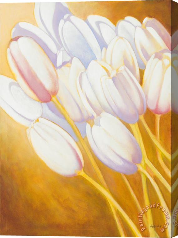 Jerome Lawrence Tulips are People XII Stretched Canvas Painting / Canvas Art