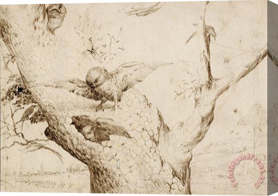 Jheronimus Bosch The Owl's Nest Stretched Canvas Print / Canvas Art