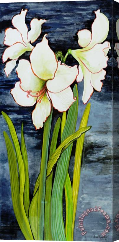 Joan Thewsey Amaryllis Against A Night Sky Stretched Canvas Painting / Canvas Art