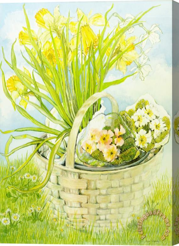 Joan Thewsey Daffodils And Primroses In A Basket Stretched Canvas Painting / Canvas Art