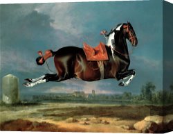 Georg Pauli Canvas Prints - The Piebald Horse by Johann Georg Hamilton
