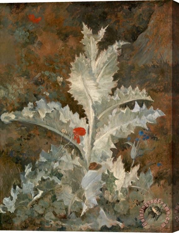 John Crome A Thistle Stretched Canvas Painting / Canvas Art