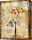 Stretched Canvas Print Stretched Canvas Print