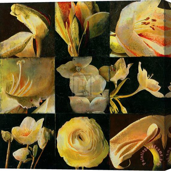 John Douglas Mirrored Blossoms I Stretched Canvas Print / Canvas Art