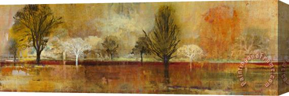 John Douglas Tree Shadows II Stretched Canvas Painting / Canvas Art