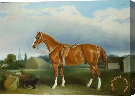 John E Ferneley A Chestnut Hunter and a Spaniel by Farm Buildings Stretched Canvas Painting / Canvas Art