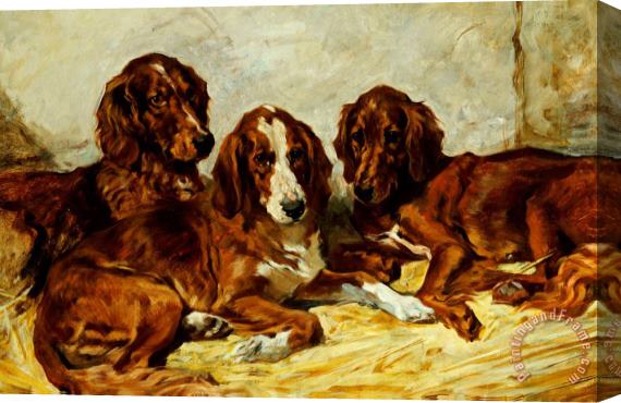 John Emms Three Irish Red Setters Stretched Canvas Painting / Canvas Art