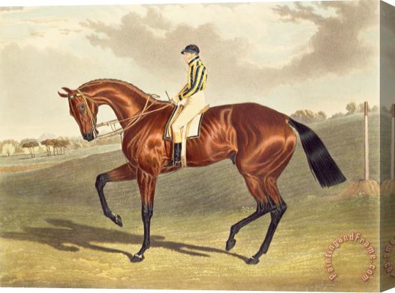 John Frederick Herring Snr Bay Middleton Winner of the Derby in 1836 Stretched Canvas Print / Canvas Art