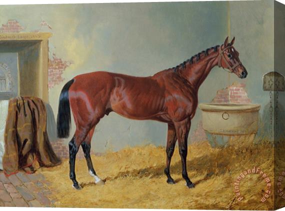 John Frederick Herring Snr Horse in a Stable Stretched Canvas Print / Canvas Art