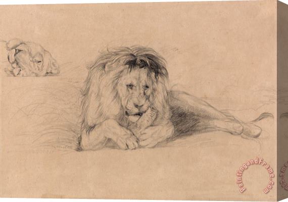 John Frederick Lewis Study of a Lion And Study of a Lioness' Head Stretched Canvas Painting / Canvas Art