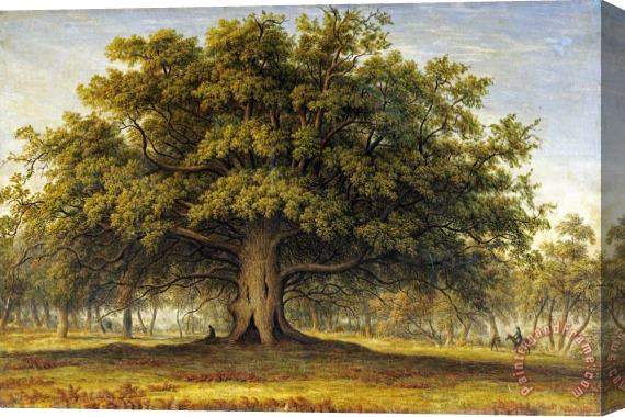 John Glover The Beggars Oak Stretched Canvas Painting / Canvas Art