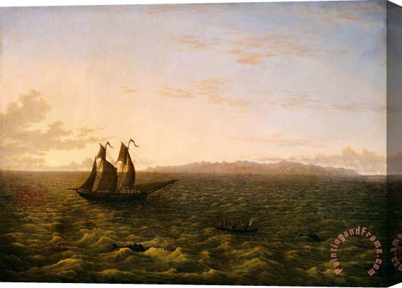 John Glover The Island of Madeira Stretched Canvas Print / Canvas Art