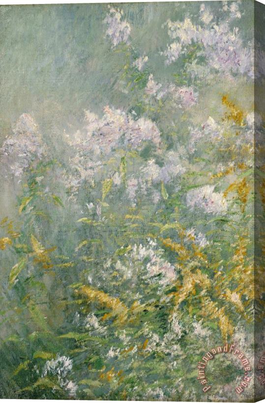 John Henry Twachtman Meadow Flowers (golden Rod And Wild Aster) Stretched Canvas Painting / Canvas Art