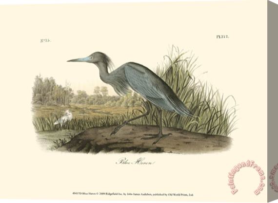 John James Audubon Blue Heron Stretched Canvas Painting / Canvas Art