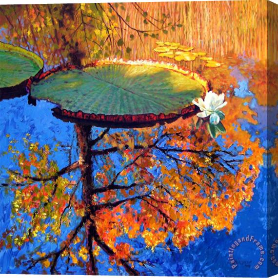 John Lautermilch Colors of Fall on the Lily Pond Stretched Canvas Print / Canvas Art
