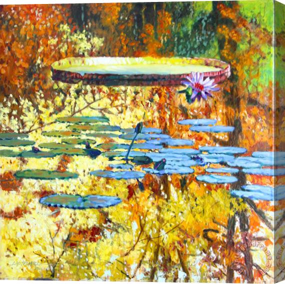 John Lautermilch Fall Colors on the Lily Pond Stretched Canvas Print / Canvas Art