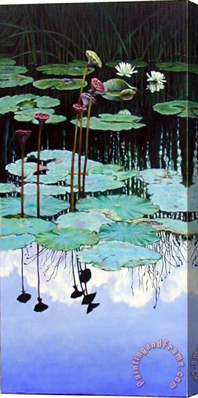 John Lautermilch Floating - Reflective Beauty Stretched Canvas Painting / Canvas Art
