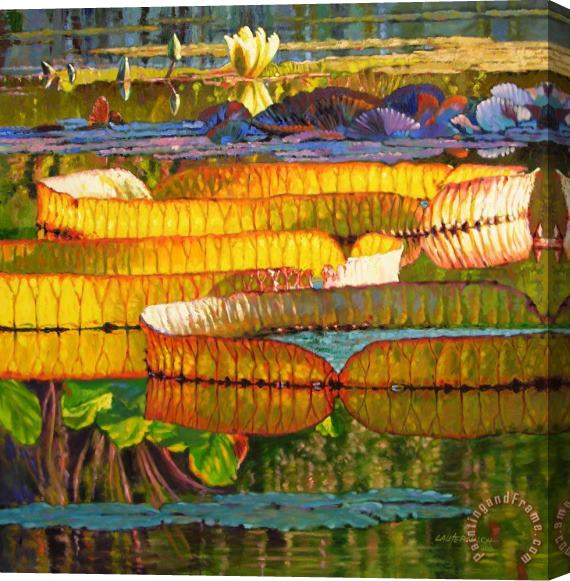 John Lautermilch Glorious Morning Lilies Stretched Canvas Print / Canvas Art