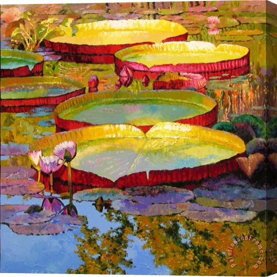 John Lautermilch Golden Light on Pond Stretched Canvas Painting / Canvas Art