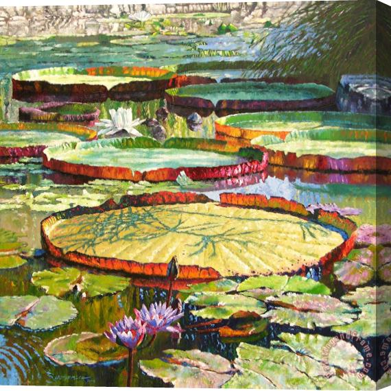 John Lautermilch Interwoven Beauty Stretched Canvas Painting / Canvas Art